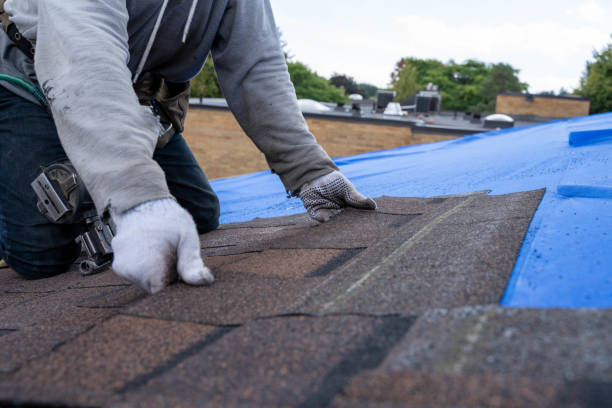 Best Gutter Installation and Roofing  in Elm City, NC