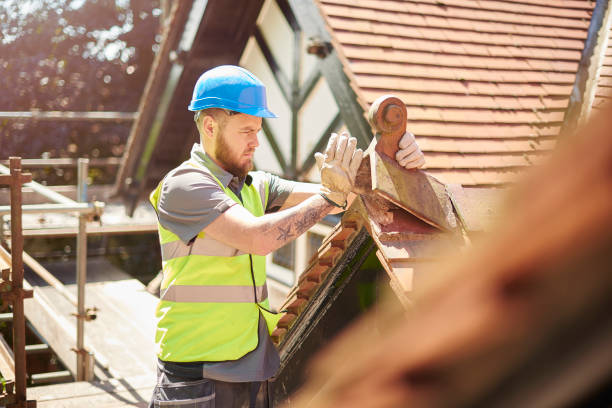 Roof Repair Estimates in Elm City, NC
