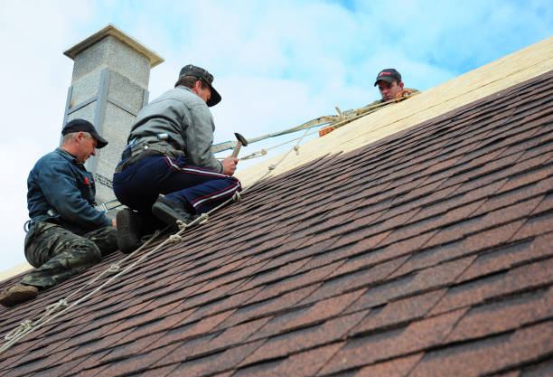 Best Storm Damage Roof Repair  in Elm City, NC