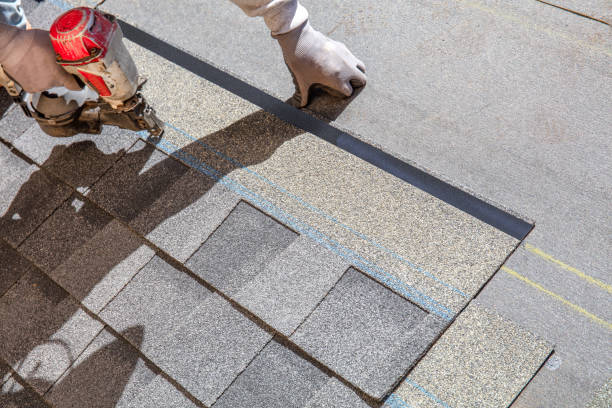 Professional Roofing Contractor in Elm City, NC