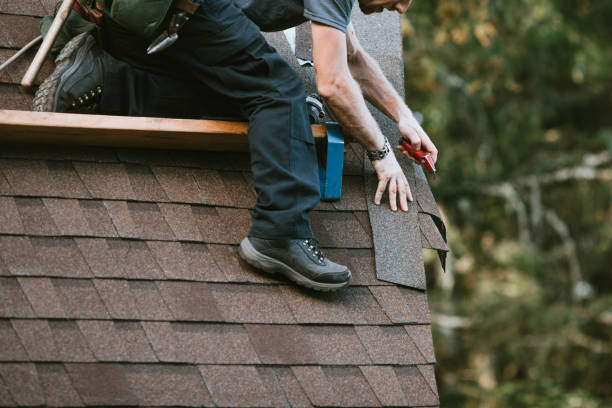 Best New Roof Installation  in Elm City, NC