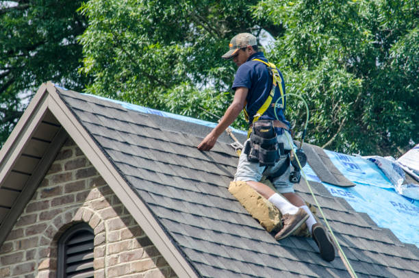 Best Roof Replacement Cost  in Elm City, NC
